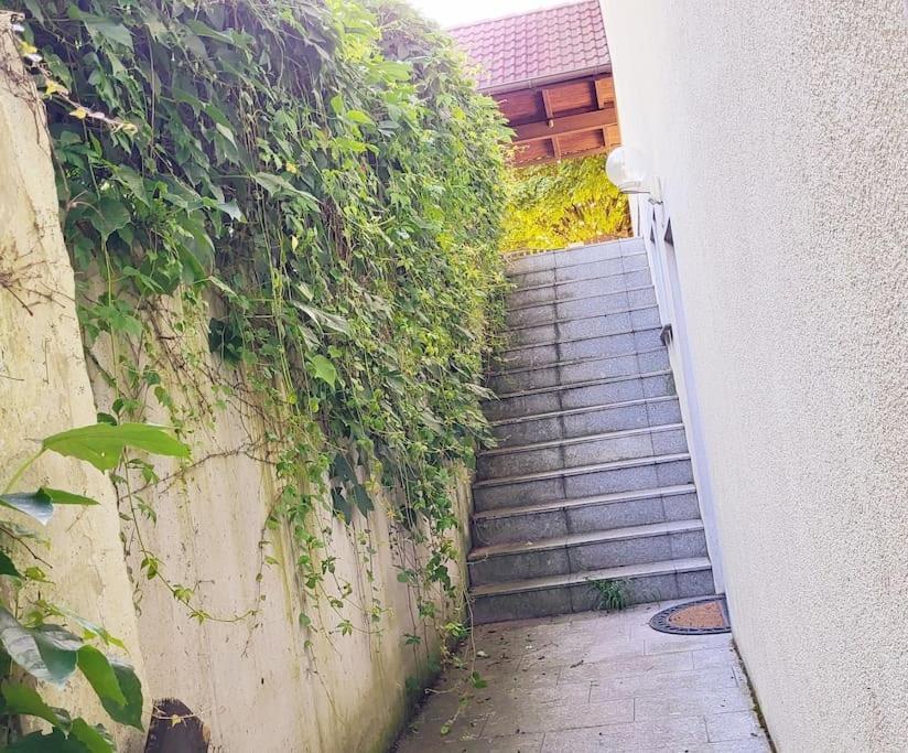 Colourful 2.5 Bedroom With Large Balcony & Garden. Prinzersdorf Exterior photo
